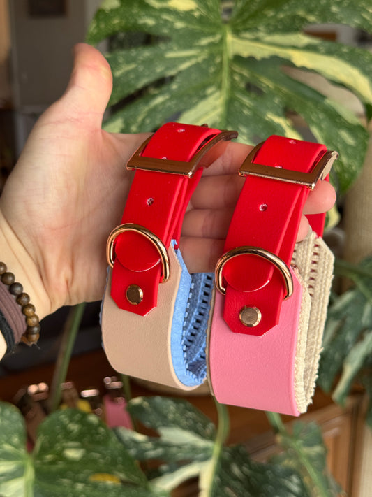 Halsband BioThane® mit Polsterung 38mm (KONFIGURATOR)