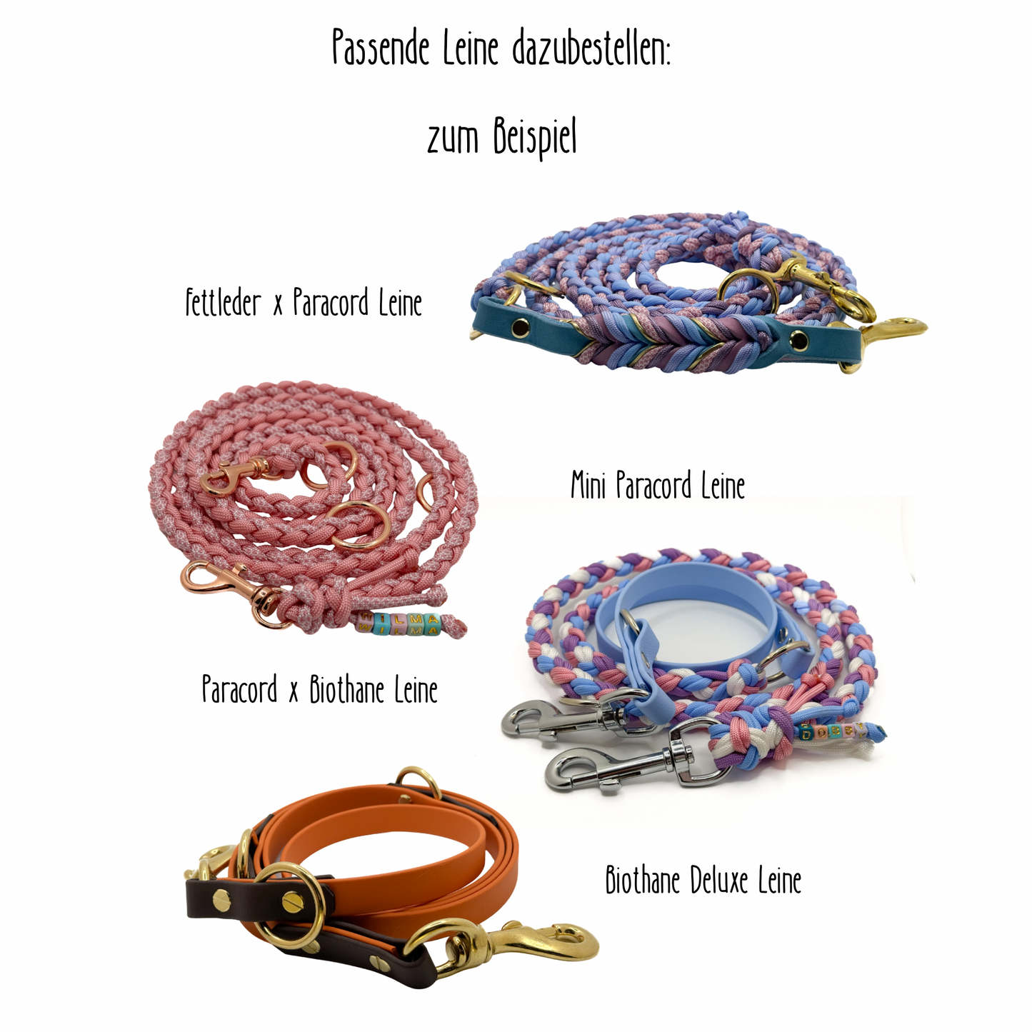 Kingfisher Halsband (bis 10kg) 3 Farben