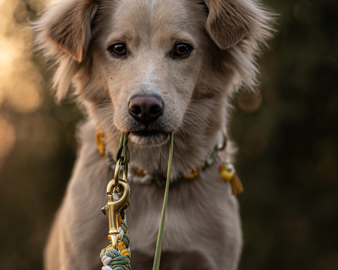 Wie unterscheiden sich eigentlich die Beschläge?