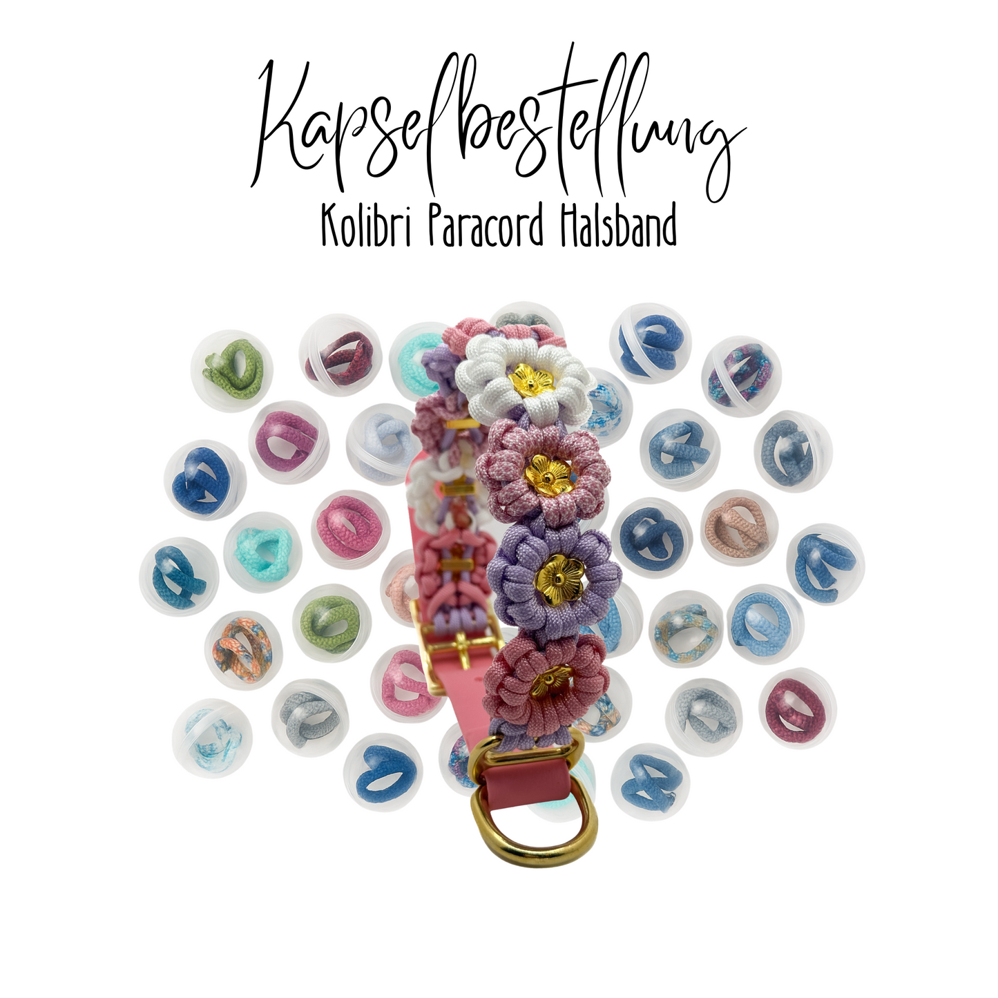 Kolibri Halsband (Kapselbestellung)