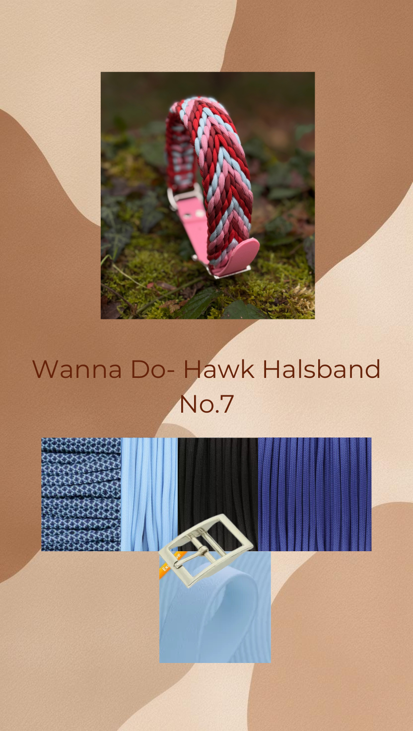 Wanna Do- Hawk No.07