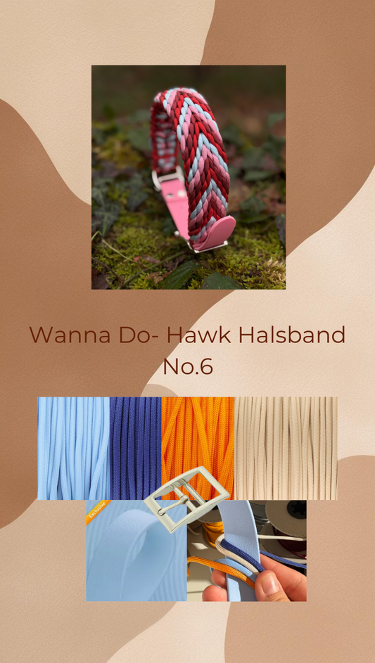 Wanna Do- Hawk No.06