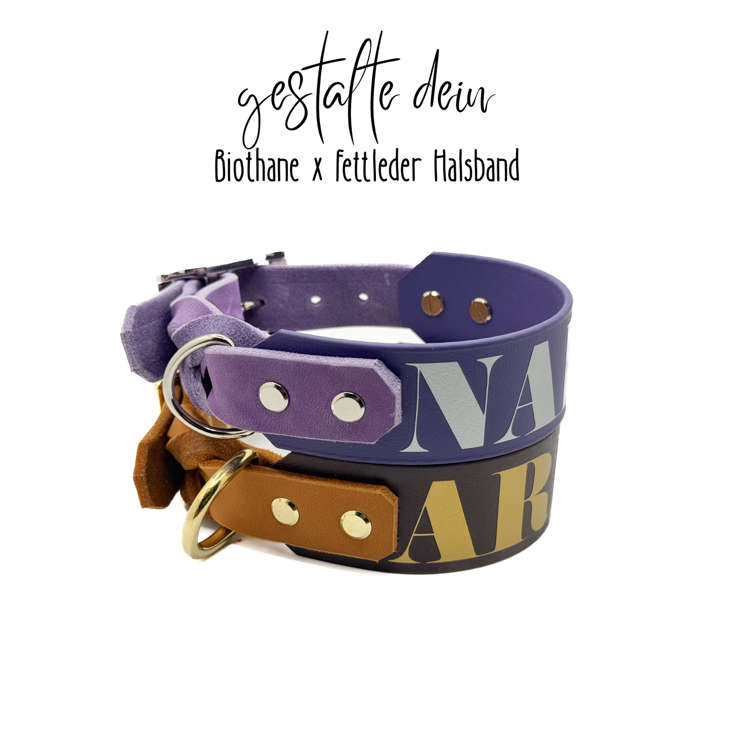 Biothane x Fettleder Halsband