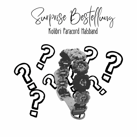 Surprise Kolibri Halsband