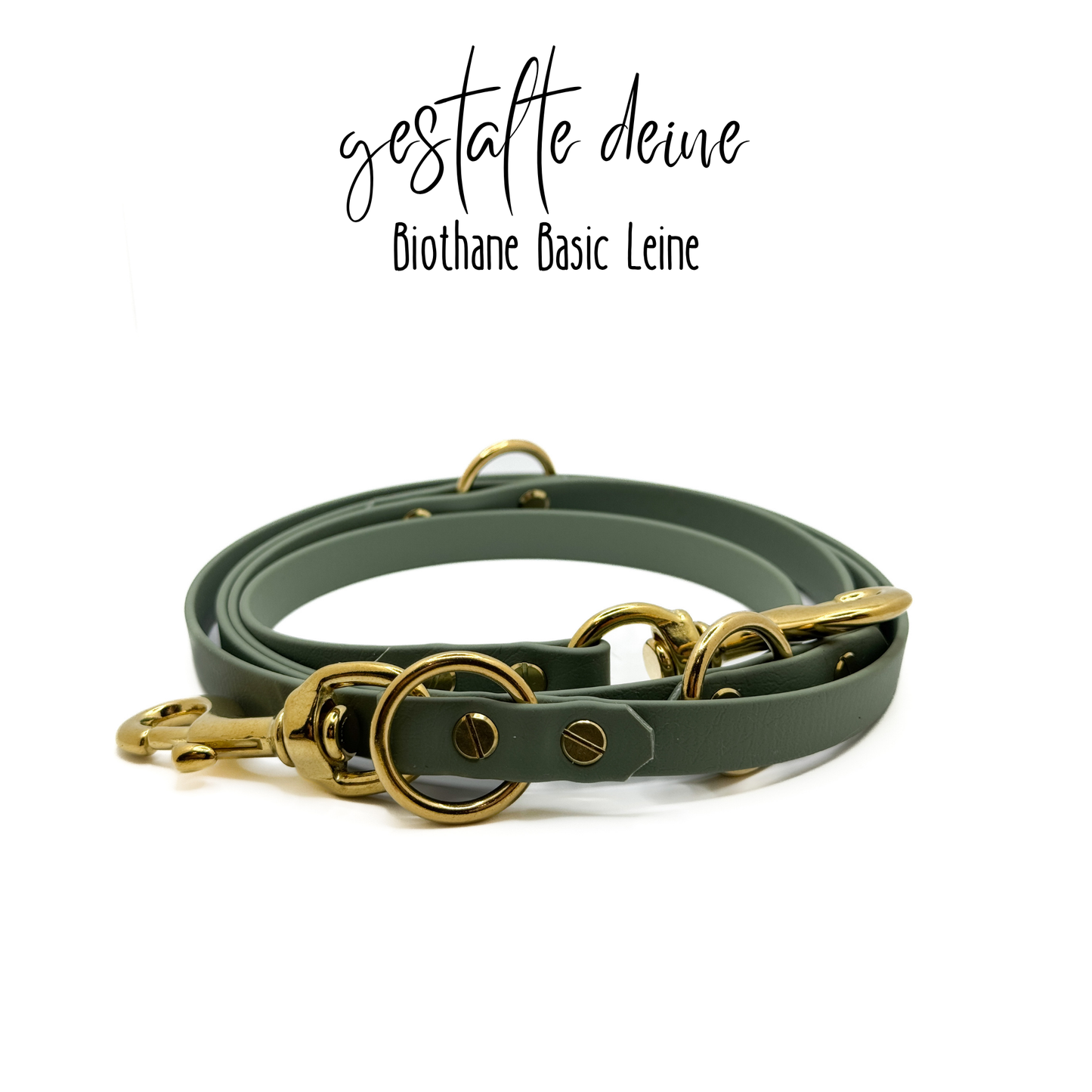 Biothane Leine Basic 1,5- 3m