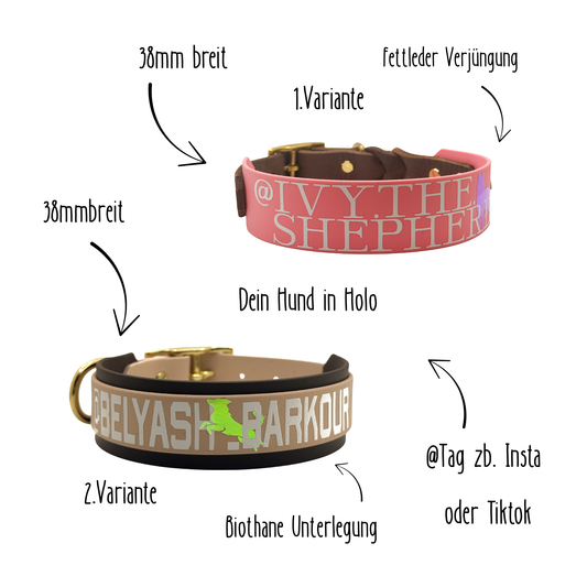 Social Tag Biothane Halsband