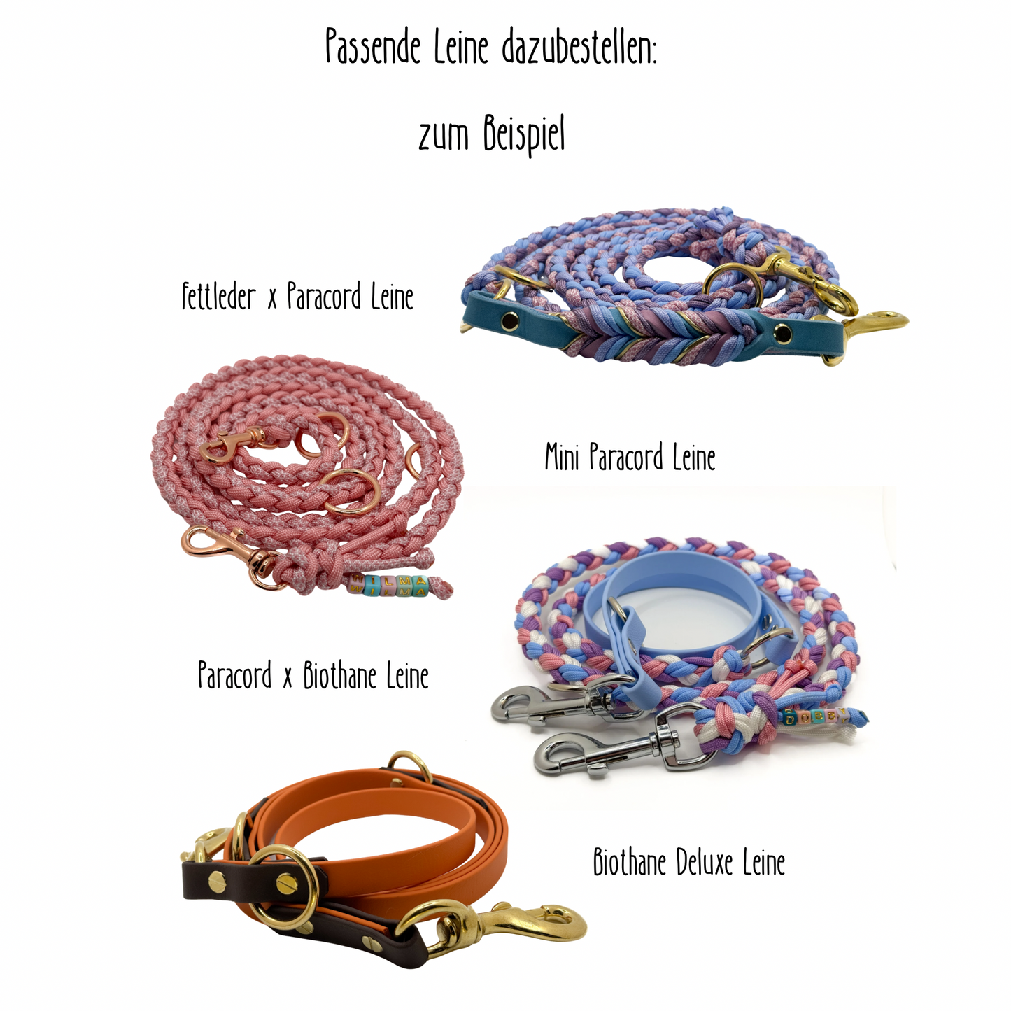 FINCH Halsband (Gewicht bis 10kg) 3 Farben