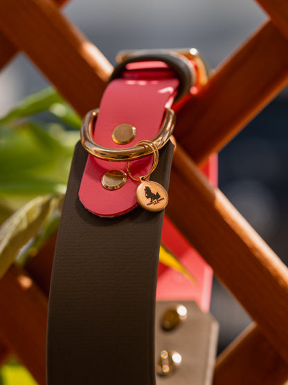 Halsband mit Verjüngung BioThane® 38mm (KONFIGURATOR)