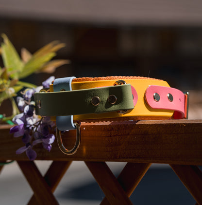Halsband mit Griff BioThane® 38mm (KONFIGURATOR)