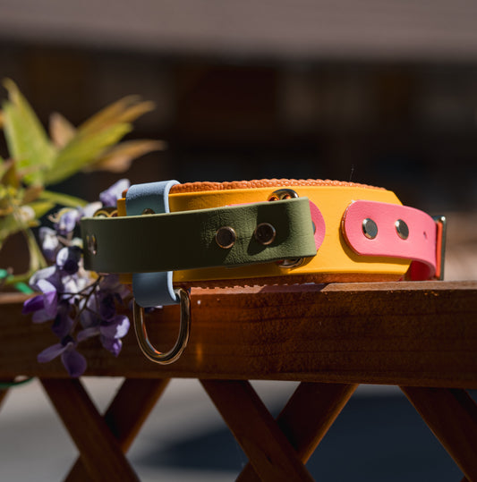 Halsband mit Griff BioThane® 38mm (KONFIGURATOR)
