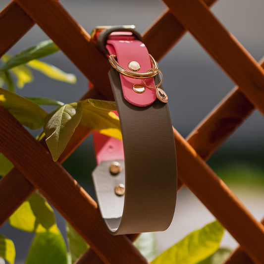 Halsband mit Verjüngung BioThane® 38mm (KONFIGURATOR)