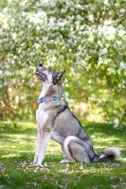 Kolibri Halsband ( 4 Farben)