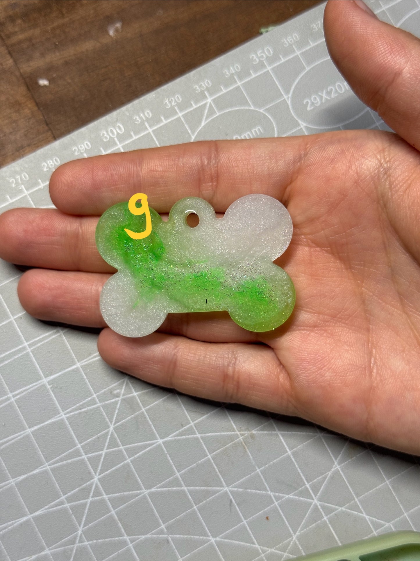 Epoxidharz Hundemarken - Serie Knochen/Grün/Weiß