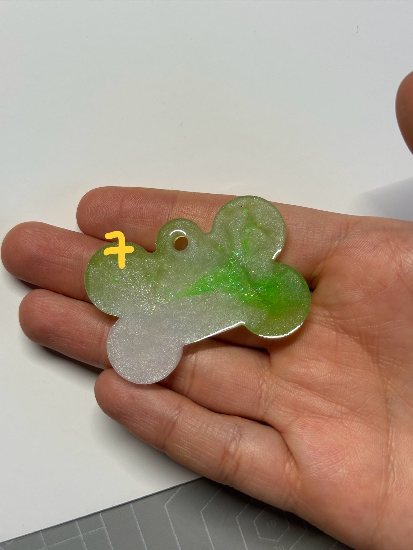 Epoxidharz Hundemarken - Serie Knochen/Grün/Weiß