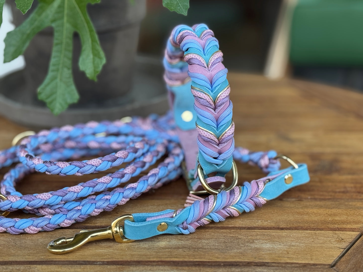 Fettleder Halsband „Cotton Candy“