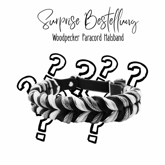 Surprise WOODPECKER Halsband