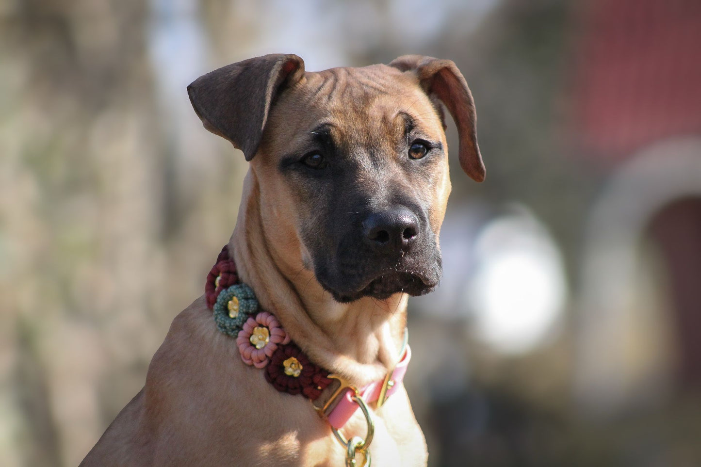 Kolibri Halsband ( 4 Farben)