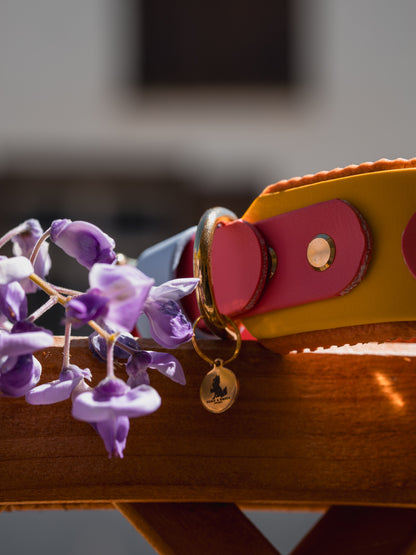 Halsband mit Griff BioThane® 38mm (KONFIGURATOR)