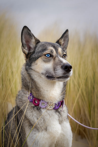 Kolibri Halsband ( 4 Farben)