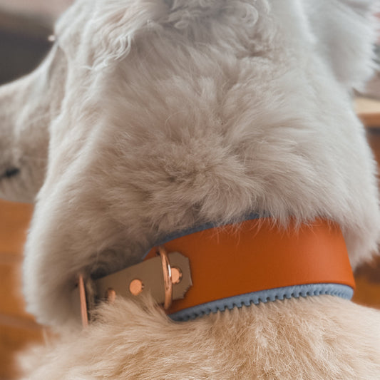 Halsband BioThane® mit Polsterung 38mm  (KONFIGURATOR)