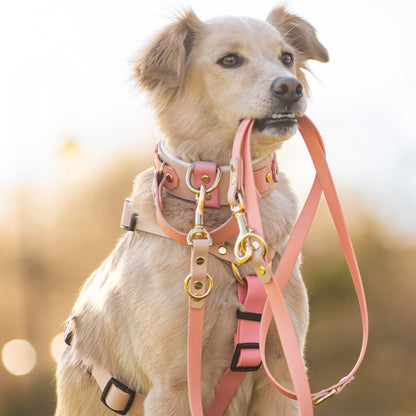 Leash Deluxe 1.5 - 3 Meters / BioThane® / CONFIGURATOR