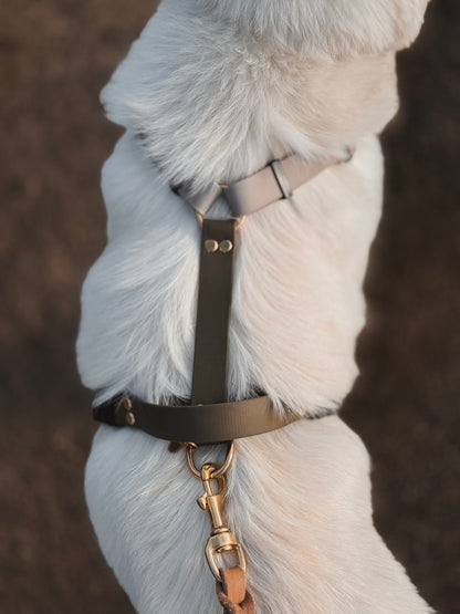 BioThane® Lead Harness 1-2 Colors / 5-Way Adjustable (CONFIGURATOR)