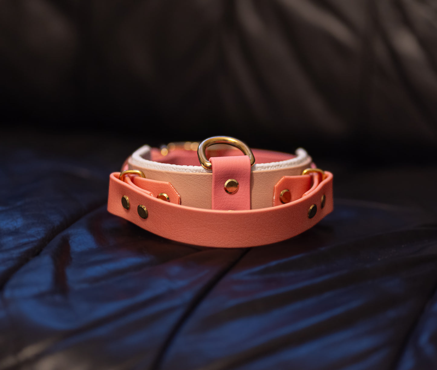 Biothane Halsband mit Griff