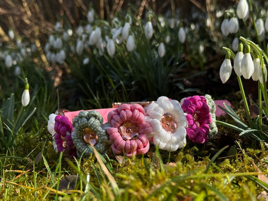 Frühlingskollektion '25 Set Tulip