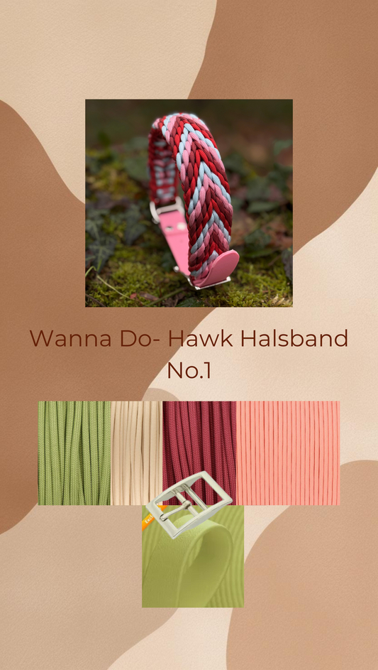 Wanna Do- Hawk No.01