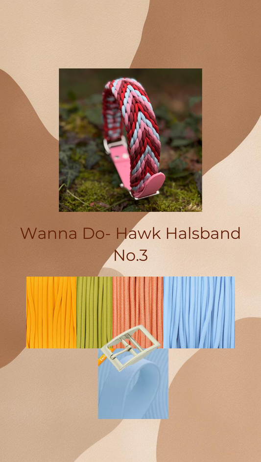 Wanna Do- Hawk No.03