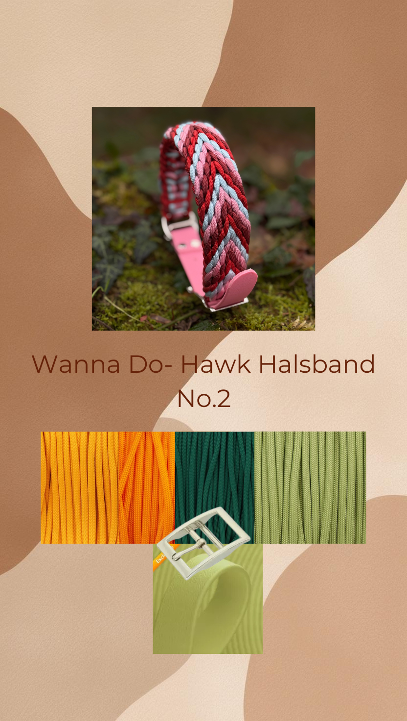 Wanna Do- Hawk No.02